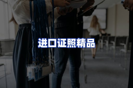 进口证件页面制证